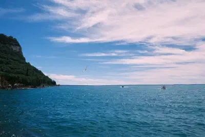 bird-and-boats.jpg