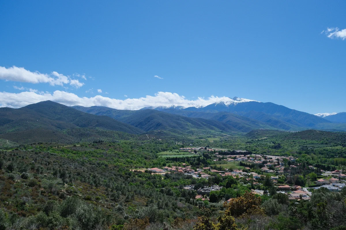 el Canigó