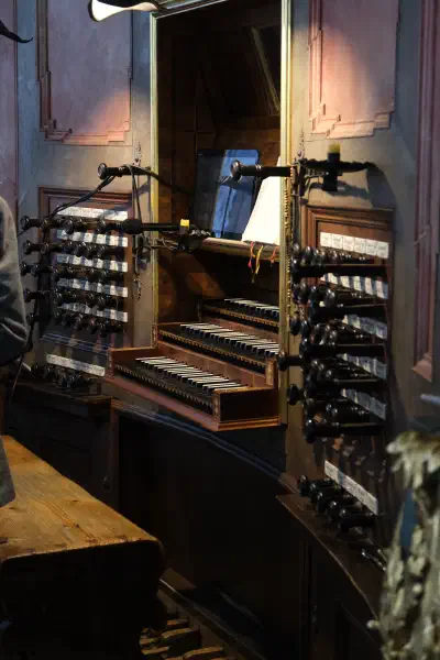 organ.jpeg