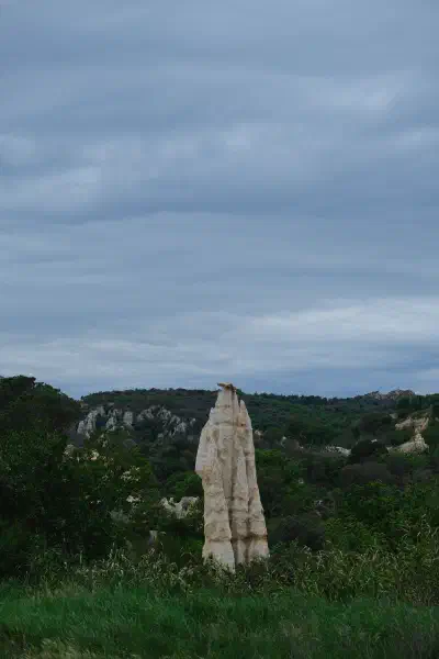 orgues2.jpeg