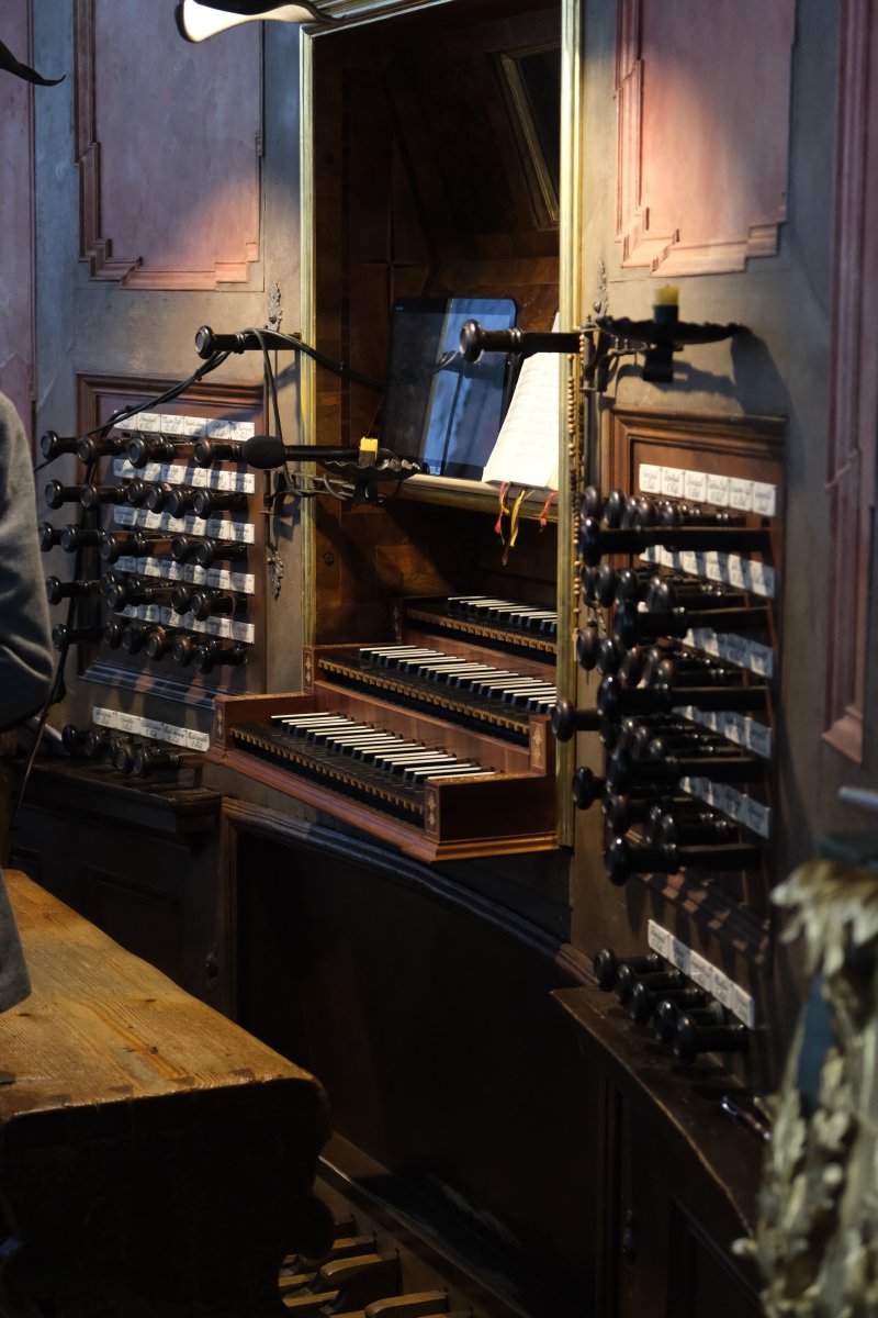 Organ