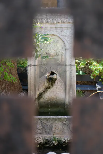 Photo Gallery