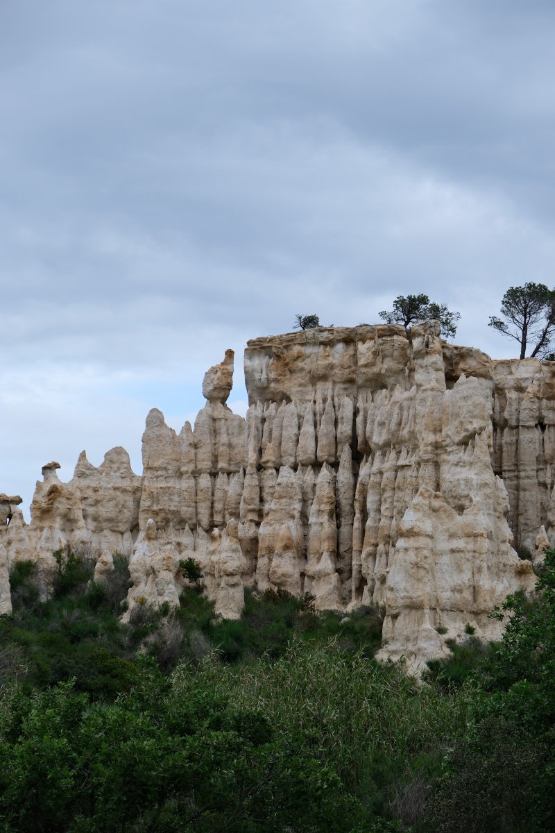 Orgue statues